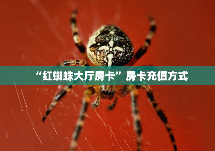 科普一下“哪里有卖炸 金花房卡”房卡使用教程