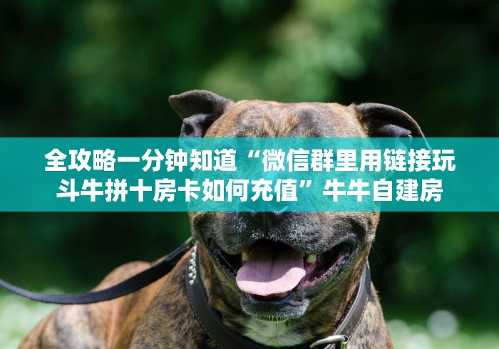 一分钟了解“怎么创建微信牛牛房间”房卡使用教程