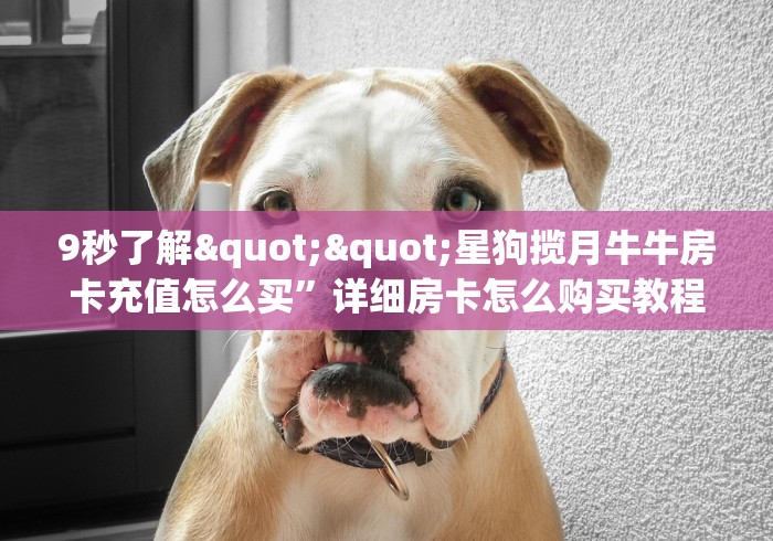 2026第一房卡“猴王大厅链接牛牛房卡”哪里有详细介绍房卡