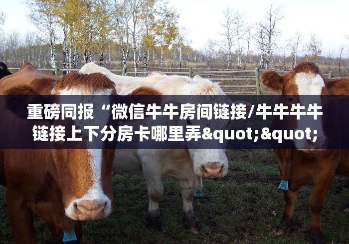 53秒了解分享"“九游联盟大厅怎么开房卡”详细房卡教程