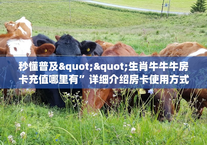 秒懂普及""生肖牛牛牛房卡充值哪里有”详细介绍房卡使用方式