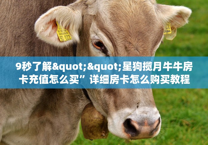 9秒了解""星狗揽月牛牛房卡充值怎么买”详细房卡怎么购买教程