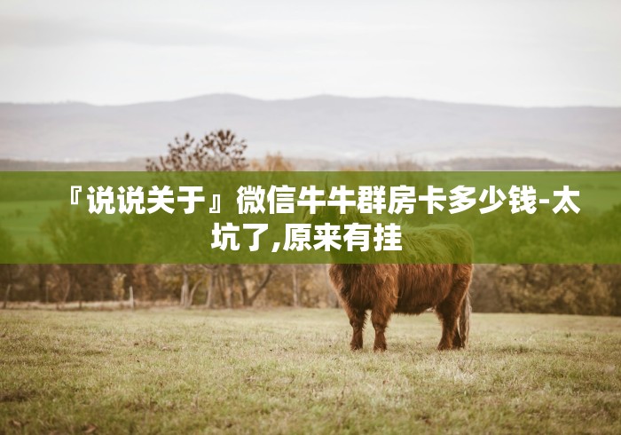 房卡百科“新蜜瓜大厅牛牛房卡”充值房卡100张多少钱