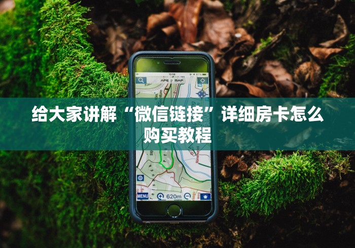 给大家讲解“微信链接”详细房卡怎么购买教程