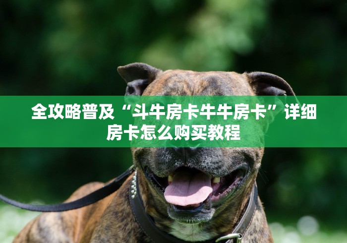 全攻略普及“斗牛房卡牛牛房卡”详细房卡怎么购买教程 全攻略普及“斗牛房卡牛牛房卡”详细房卡怎么购买教程