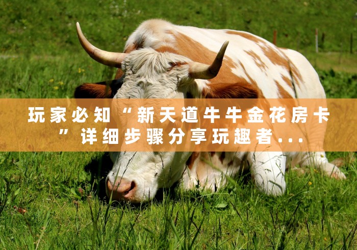 玩 家 必 知 “ 新 天 道 牛 牛 金 花 房 卡 ” 详 细 步 骤 分 享 玩 趣 者 . . .	