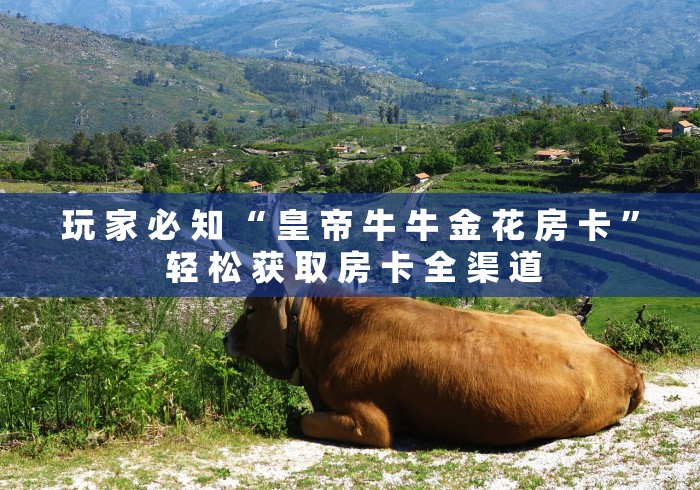 玩 家 必 知 “ 皇 帝 牛 牛 金 花 房 卡 ” 轻 松 获 取 房 卡 全 渠 道	