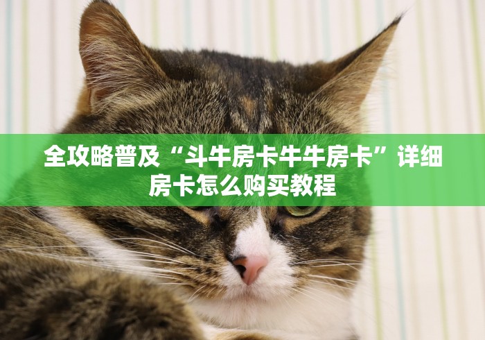 全攻略普及“斗牛房卡牛牛房卡”详细房卡怎么购买教程