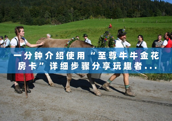 一 分 钟 介 绍 使 用 “ 至 尊 牛 牛 金 花 房 卡 ” 详 细 步 骤 分 享 玩 趣 者 . . . 一 分 钟 介 绍 使 用 “ 至 尊 牛 牛 金 花 房 卡 ” 详 细 步 骤 分 享 玩 趣 者 . . .