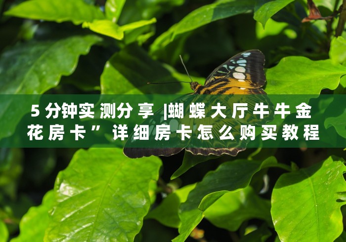 5 分钟实 测分 享  |蝴 蝶 大 厅 牛 牛 金 花 房 卡 ” 详 细 房 卡 怎 么 购 买 教 程	