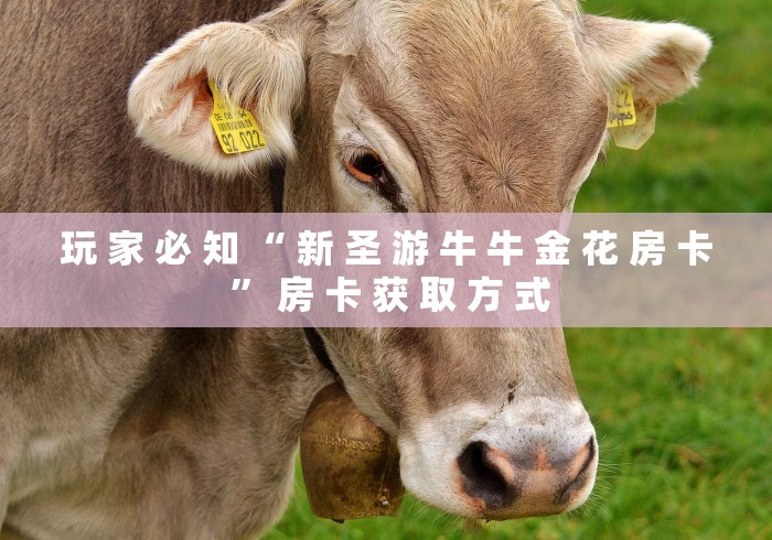玩 家 必 知 “ 新 圣 游 牛 牛 金 花 房 卡 ” 房 卡 获 取 方 式	