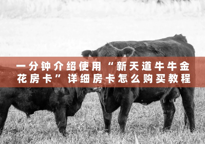 一 分 钟 介 绍 使 用 “ 新 天 道 牛 牛 金 花 房 卡 ” 详 细 房 卡 怎 么 购 买 教 程	