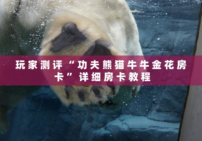 玩 家 测 评 “ 功 夫 熊 猫 牛 牛 金 花 房 卡 ” 详 细 房 卡 教 程	