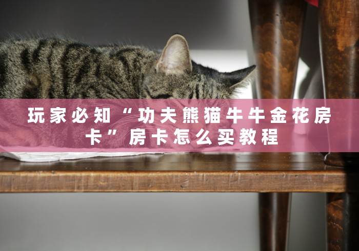 玩 家 必 知 “ 功 夫 熊 猫 牛 牛 金 花 房 卡 ” 房 卡 怎 么 买 教 程	