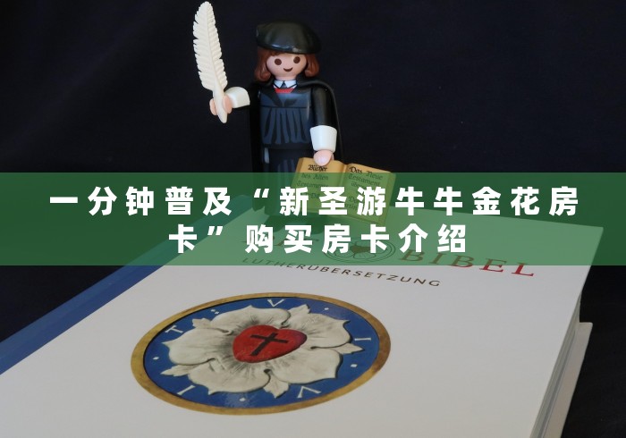 一 分 钟 普 及 “ 新 圣 游 牛 牛 金 花 房 卡 ” 购 买 房 卡 介 绍	