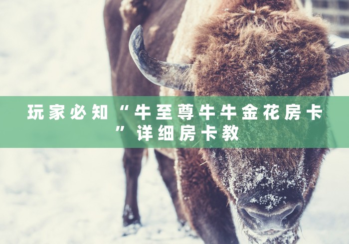 玩 家 必 知 “ 牛 至 尊 牛 牛 金 花 房 卡 ” 详 细 房 卡 教	