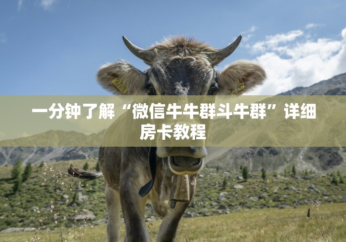 一分钟了解“微信牛牛群斗牛群”详细房卡教程