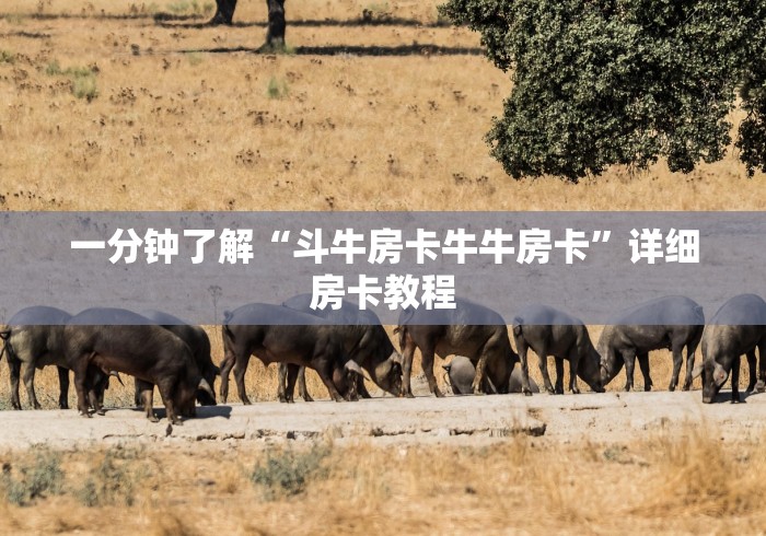 一分钟了解“斗牛房卡牛牛房卡”详细房卡教程