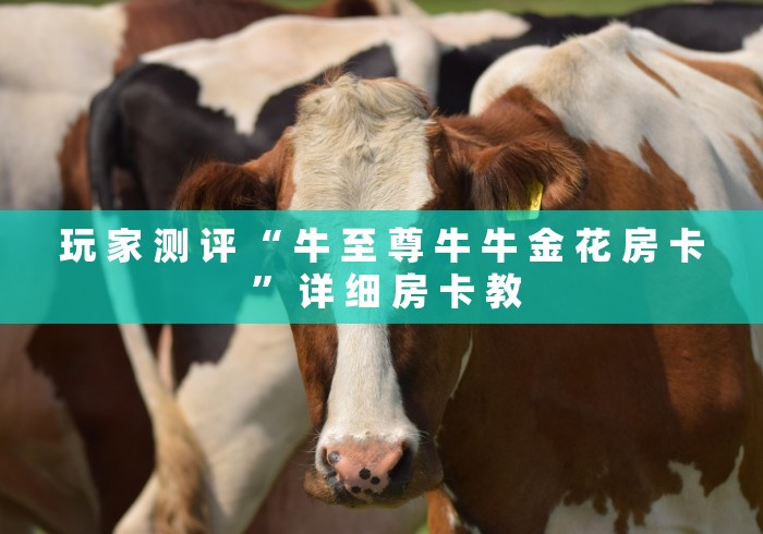 玩 家 测 评 “ 牛 至 尊 牛 牛 金 花 房 卡 ” 详 细 房 卡 教	