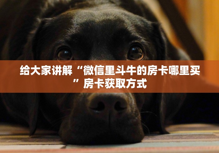 给大家讲解“微信里斗牛的房卡哪里买”房卡获取方式