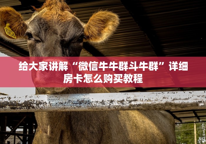 给大家讲解“微信牛牛群斗牛群”详细房卡怎么购买教程