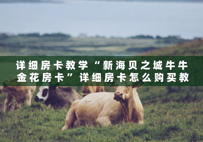 详 细 房 卡 教 学 “ 新 海 贝 之 城 牛 牛 金 花 房 卡 ” 详 细 房 卡 怎 么 购 买 教 程	