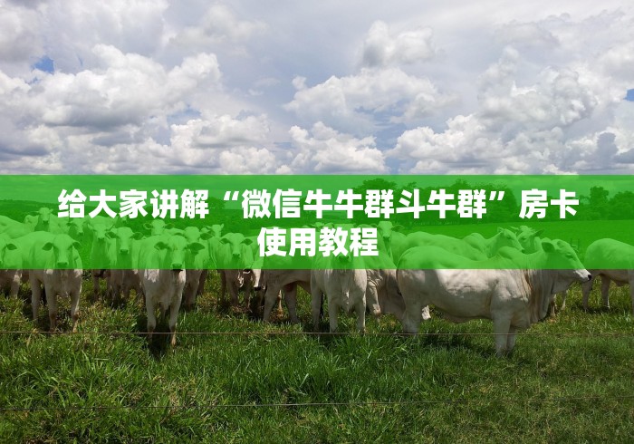 给大家讲解“微信牛牛群斗牛群”房卡使用教程