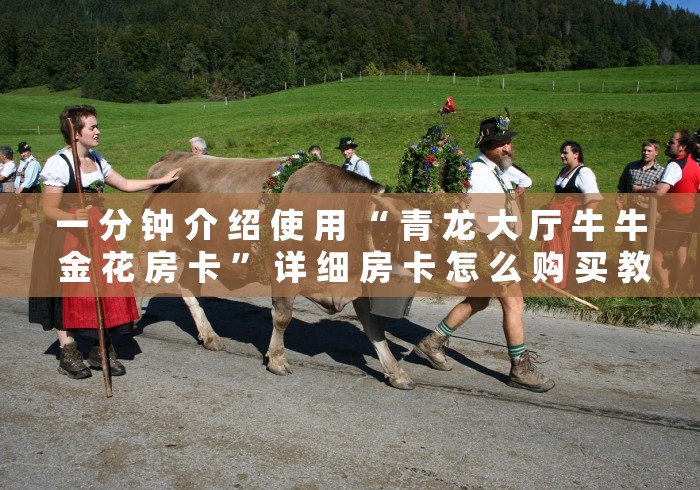 一 分 钟 介 绍 使 用 “ 青 龙 大 厅 牛 牛 金 花 房 卡 ” 详 细 房 卡 怎 么 购 买 教 程	